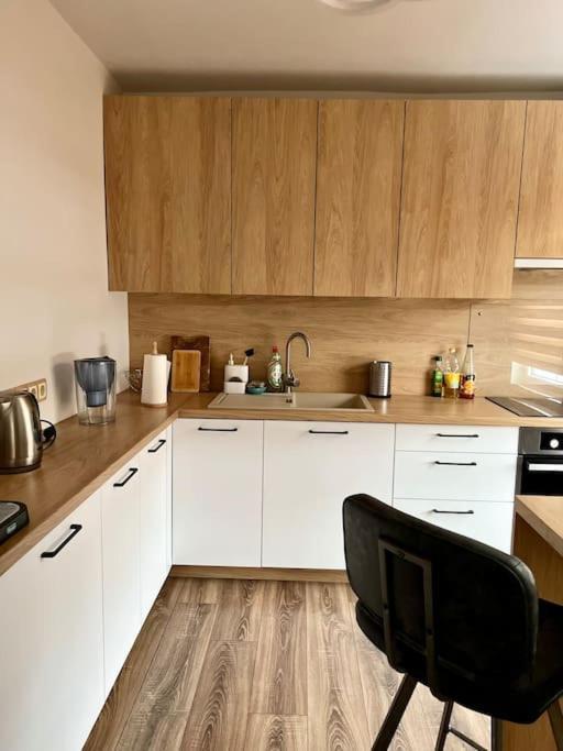 Refurnished In Apartment Rucava